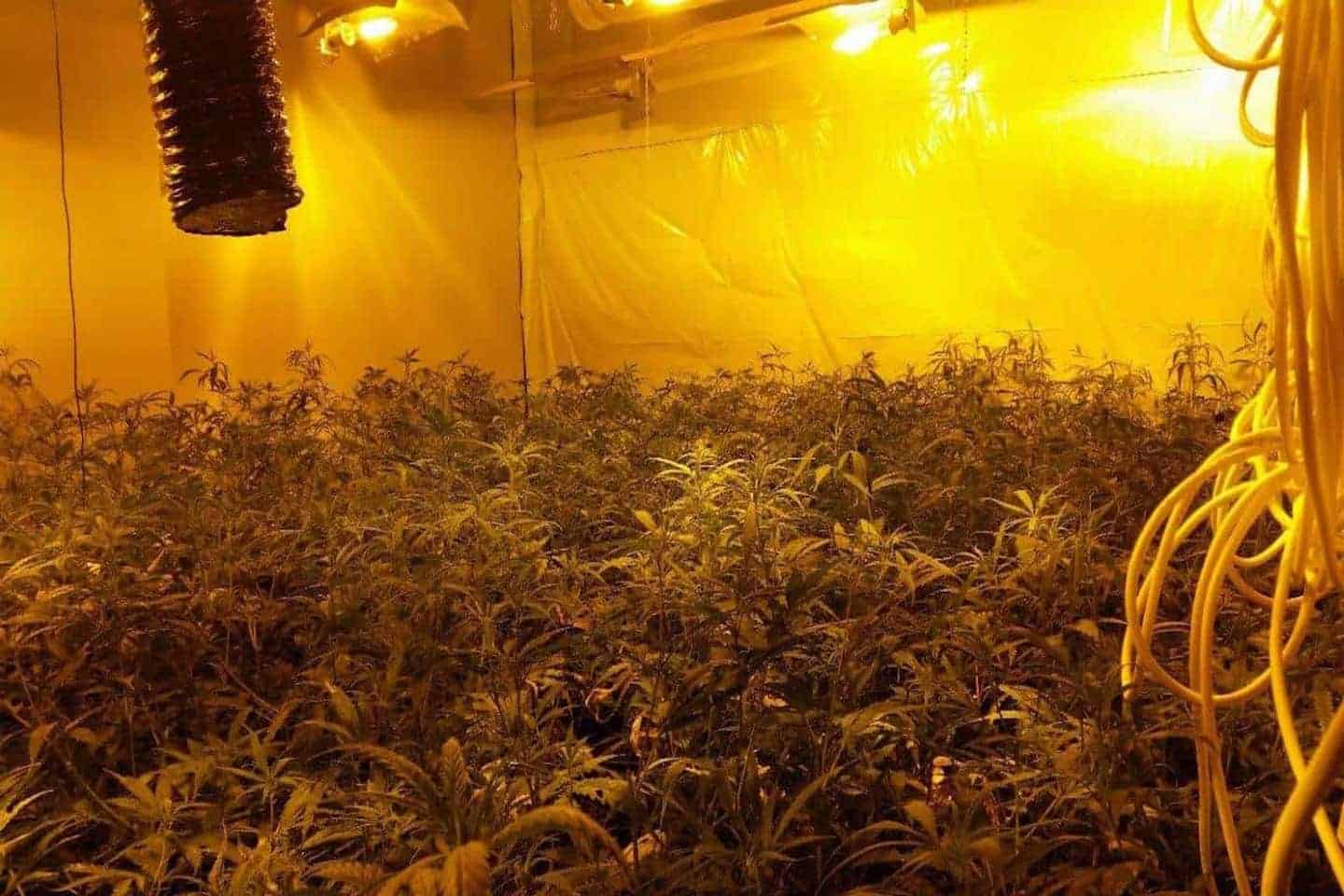 Stadlander onderzoekt de meldingsbereidheid van huurders bij (mogelijke) drugsproductie of handel