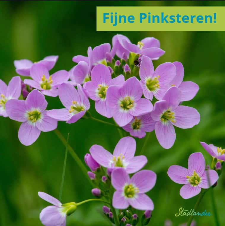 Sluiting kantoor rond Hemelvaart en Pinksteren